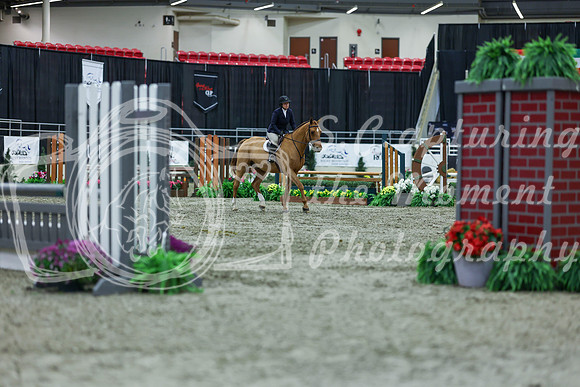 2025 - Shea - Royal West - Saturday October 18th - 01289