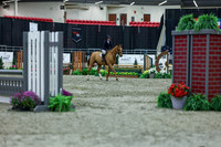 2025 - Shea - Royal West - Saturday October 18th - 01290