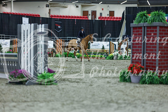 2025 - Shea - Royal West - Saturday October 18th - 01290