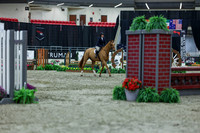 2025 - Shea - Royal West - Saturday October 18th - 01291
