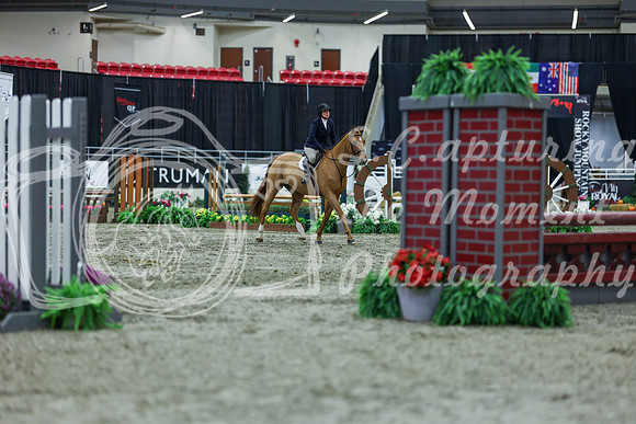 2025 - Shea - Royal West - Saturday October 18th - 01291