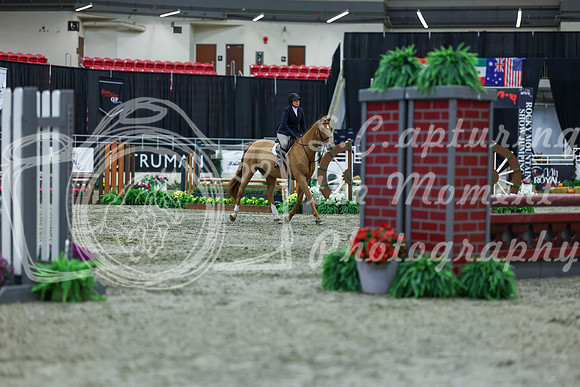 2025 - Shea - Royal West - Saturday October 18th - 01292