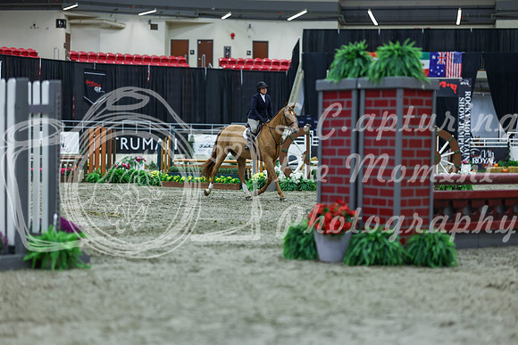 2025 - Shea - Royal West - Saturday October 18th - 01293