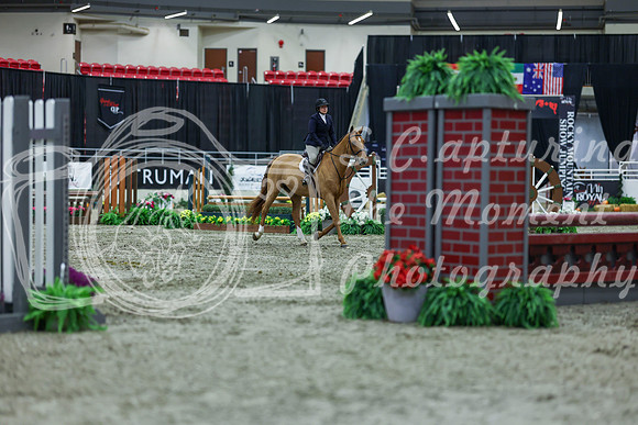 2025 - Shea - Royal West - Saturday October 18th - 01294