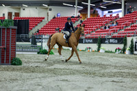 2025 - Shea - Royal West - Saturday October 18th - 01295