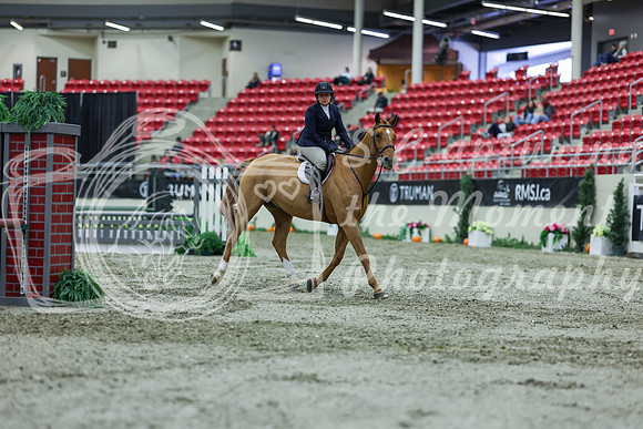 2025 - Shea - Royal West - Saturday October 18th - 01295