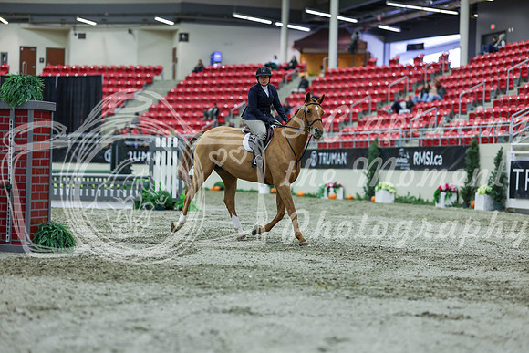 2025 - Shea - Royal West - Saturday October 18th - 01296
