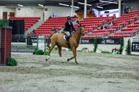 2025 - Shea - Royal West - Saturday October 18th - 01297