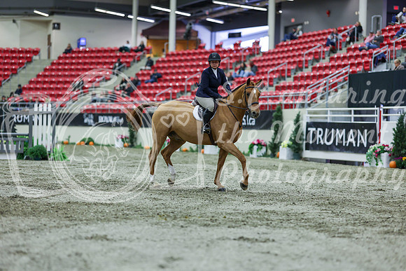 2025 - Shea - Royal West - Saturday October 18th - 01299