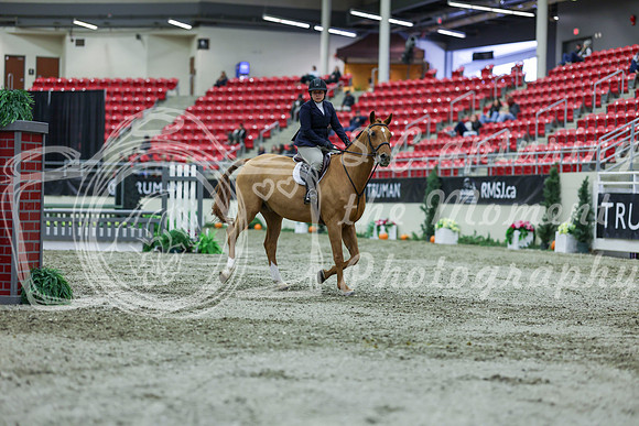 2025 - Shea - Royal West - Saturday October 18th - 01298