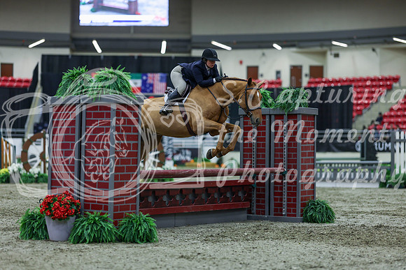 2025 - Shea - Royal West - Saturday October 18th - 01307