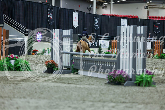 2025 - Shea - Royal West - Saturday October 18th - 01311