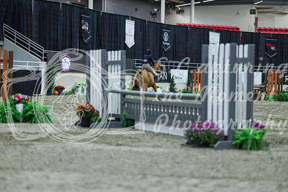 2025 - Shea - Royal West - Saturday October 18th - 01312