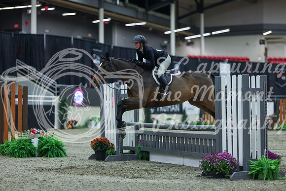 2025 - Shea - Royal West - Saturday October 18th - 00358