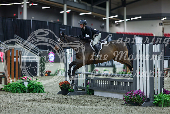 2025 - Shea - Royal West - Saturday October 18th - 00359