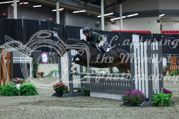 2025 - Shea - Royal West - Saturday October 18th - 00383