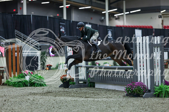2025 - Shea - Royal West - Saturday October 18th - 00385