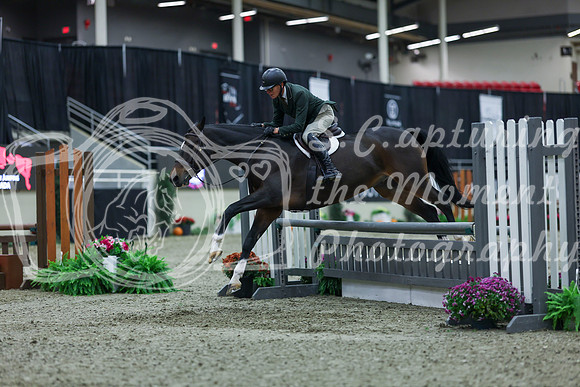 2025 - Shea - Royal West - Saturday October 18th - 00386