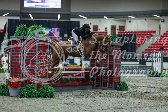 2025 - Shea - Royal West - Saturday October 18th - 01039