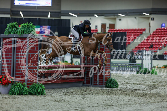 2025 - Shea - Royal West - Saturday October 18th - 01041