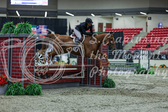 2025 - Shea - Royal West - Saturday October 18th - 01042