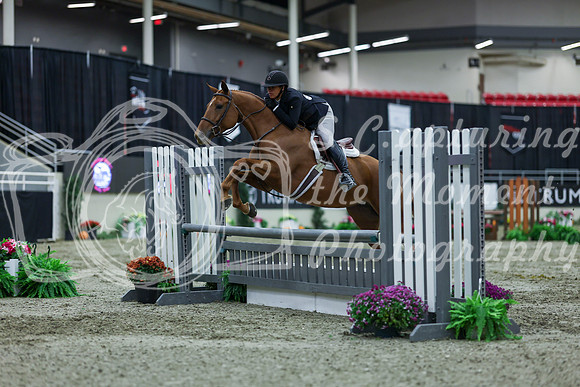 2025 - Shea - Royal West - Saturday October 18th - 01169