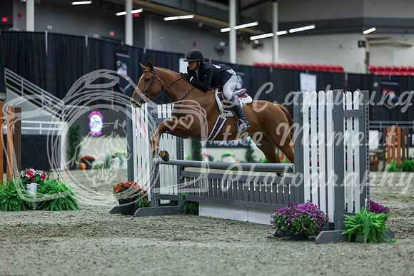2025 - Shea - Royal West - Saturday October 18th - 01171
