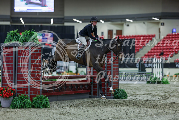 2025 - Shea - Royal West - Saturday October 18th - 01069