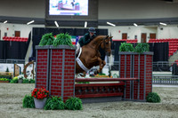 2025 - Shea - Royal West - Saturday October 18th - 01013