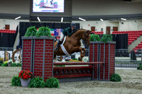 2025 - Shea - Royal West - Saturday October 18th - 01015