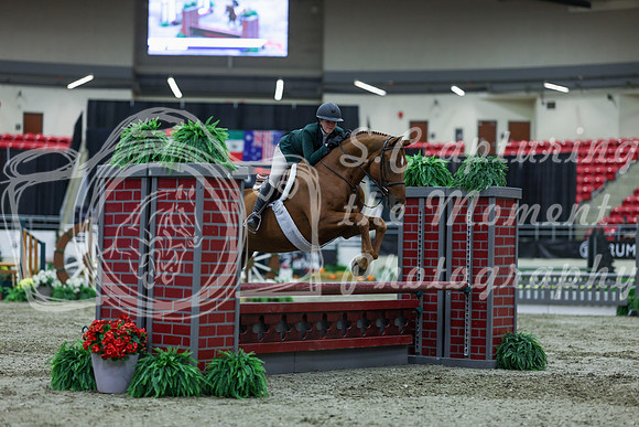 2025 - Shea - Royal West - Saturday October 18th - 01015