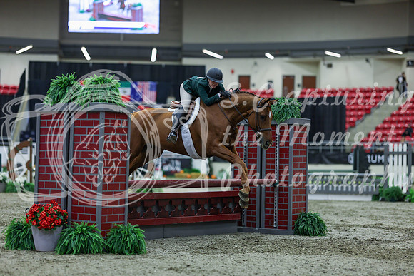 2025 - Shea - Royal West - Saturday October 18th - 01018