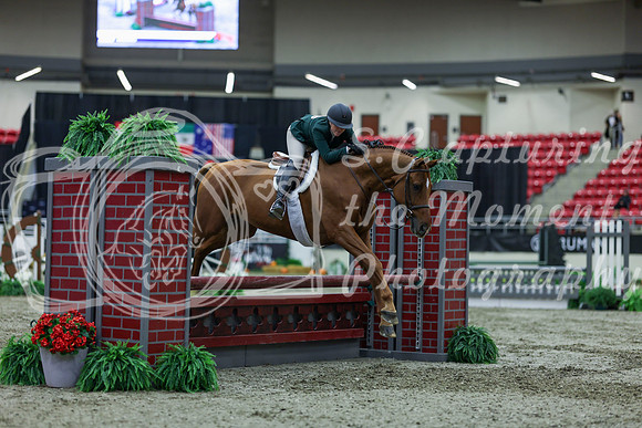 2025 - Shea - Royal West - Saturday October 18th - 01019