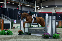 2025 - Shea - Royal West - Saturday October 18th - 01030