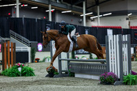 2025 - Shea - Royal West - Saturday October 18th - 01032