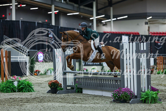 2025 - Shea - Royal West - Saturday October 18th - 01139