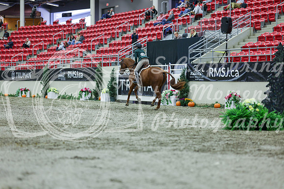 2025 - Shea - Royal West - Saturday October 18th - 01144