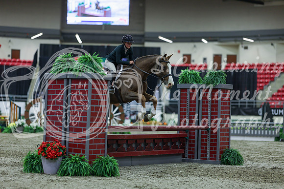 2025 - Shea - Royal West - Saturday October 18th - 01618