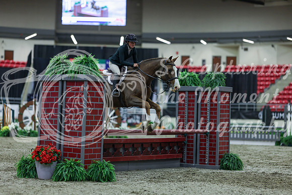 2025 - Shea - Royal West - Saturday October 18th - 01619