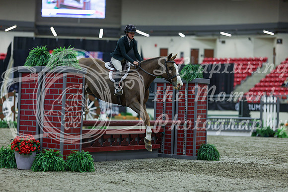 2025 - Shea - Royal West - Saturday October 18th - 01622