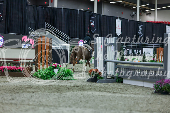 2025 - Shea - Royal West - Saturday October 18th - 01626