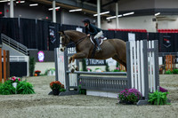 2025 - Shea - Royal West - Saturday October 18th - 01631