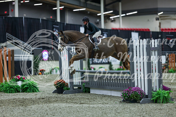 2025 - Shea - Royal West - Saturday October 18th - 01632