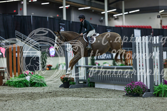2025 - Shea - Royal West - Saturday October 18th - 01634