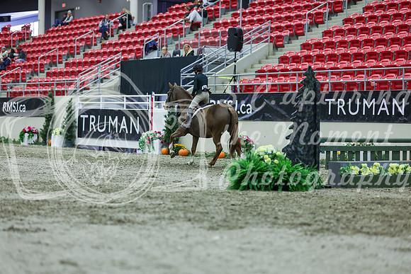 2025 - Shea - Royal West - Saturday October 18th - 01635