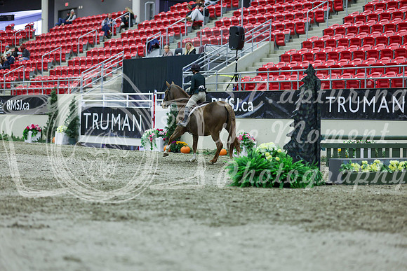 2025 - Shea - Royal West - Saturday October 18th - 01636