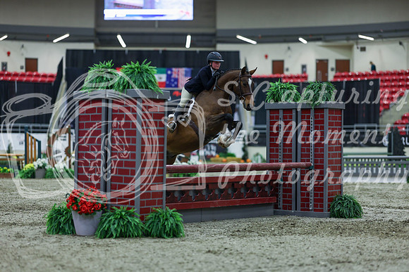 2025 - Shea - Royal West - Saturday October 18th - 00814