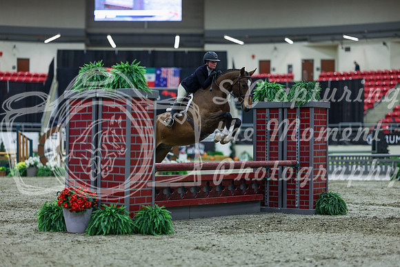 2025 - Shea - Royal West - Saturday October 18th - 00815