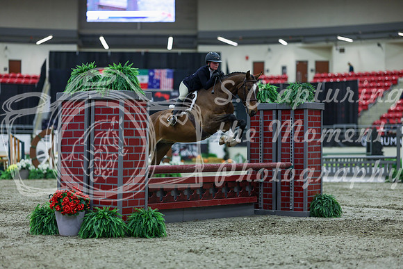 2025 - Shea - Royal West - Saturday October 18th - 00816