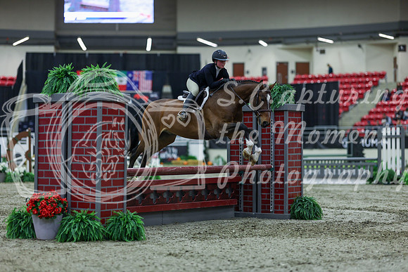 2025 - Shea - Royal West - Saturday October 18th - 00819